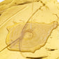 Weather resistant water-based gold paint